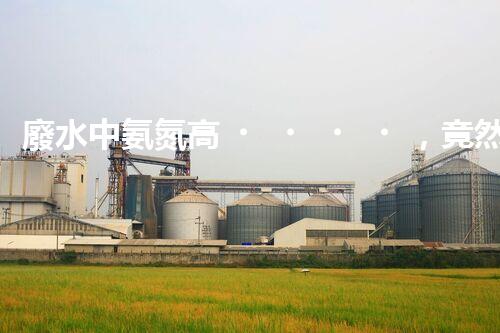 廢水中氨氮高，竟然能夠創(chuàng)造奇跡？！